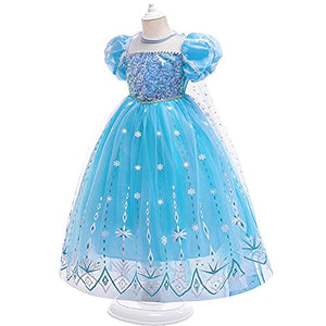 Elsa Princess Dress Halloween Costume Christmas Birthday Evening Party Ball Gown w/Accessories Blue 4-5T