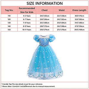 Elsa Princess Dress Halloween Costume Christmas Birthday Evening Party Ball Gown w/Accessories Blue 4-5T